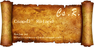 Csapó Roland névjegykártya